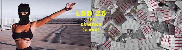 прущая мука Снежногорск